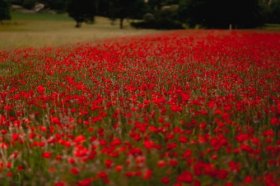 2022年双子座身边小人是什么星座，2022双子座要提防谁