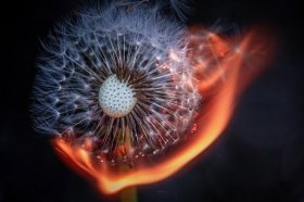 2022年双子座的“克星”是谁，双子座的小人星座