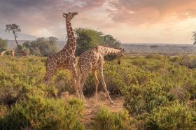 什么属相家里不能挂八卦镜，家宅挂八卦镜需注意什么