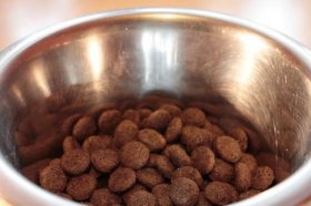 聚宝盆里面放什么东西最招财，聚宝盆使用注意事项