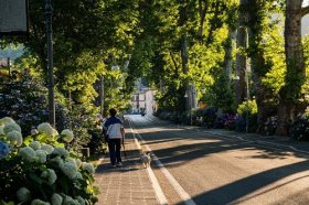 夫妻老吵架家里摆点什么好，摆什么能提升夫妻感情