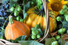 葫芦摆放的六大禁忌，葫芦不能怎样摆