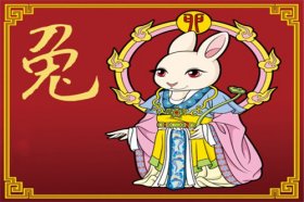 1963年属兔2023年运势及运程详解  63年出生60岁属兔人兔年每月运程如何