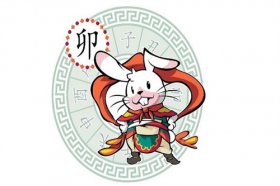 1975年属兔2023年运势及运程详解  75年出生48岁属兔人兔年每月运程如何